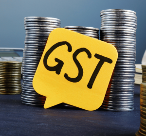 GST and Tally Accounting Course | Professional Accounting Skills