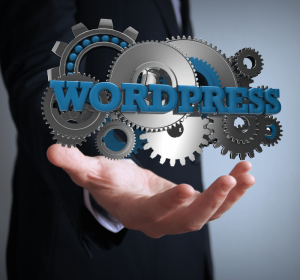 WordPress Developer Course | Build Professional Websites