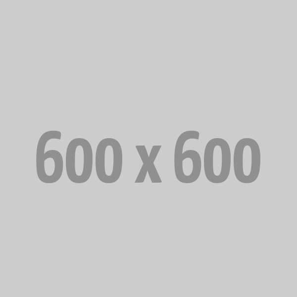 Website Design & Development